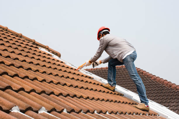 Best Green or Eco-Friendly Roofing Solutions  in Tierra Verde, FL